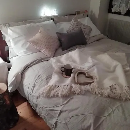 Elison-on The * Sauris