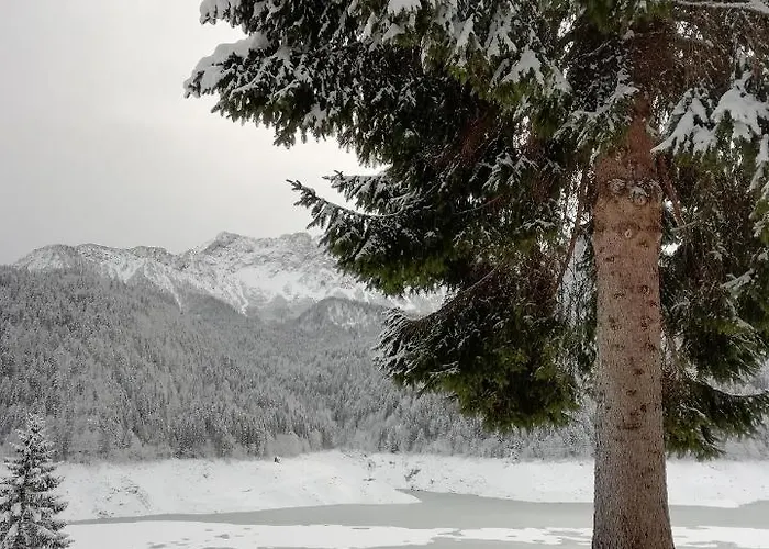 Bed & Breakfast Elison-on The Sauris